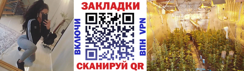 Магазины продажи наркотиков Чернушка Alpha-PVP Галлюциногенные грибы Мефедрон