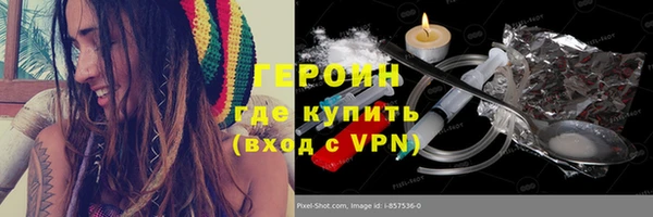 шишки Няндома