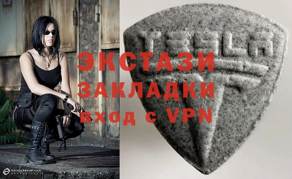 шишки Няндома