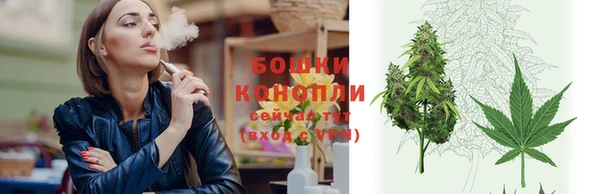 шишки Няндома