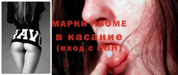 шишки Няндома