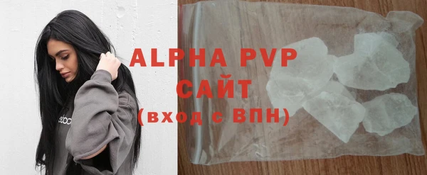 шишки Няндома