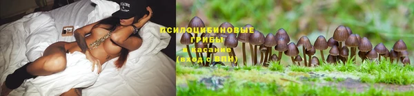 альфа пвп Нязепетровск