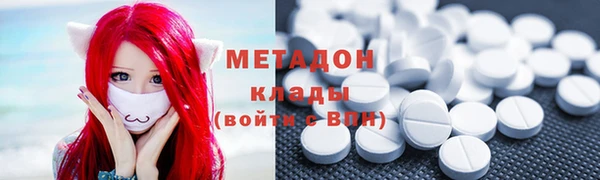 шишки Няндома