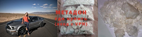 шишки Няндома