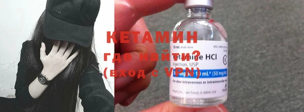 шишки Няндома