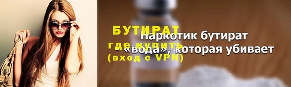 шишки Няндома