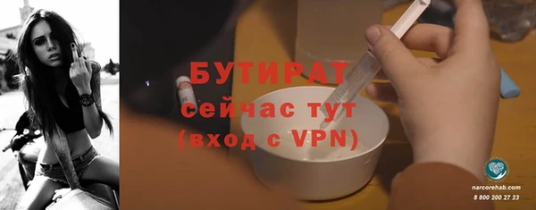 шишки Няндома