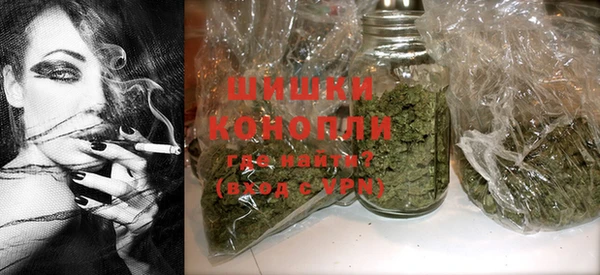 шишки Няндома