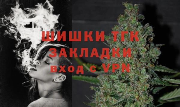 шишки Няндома