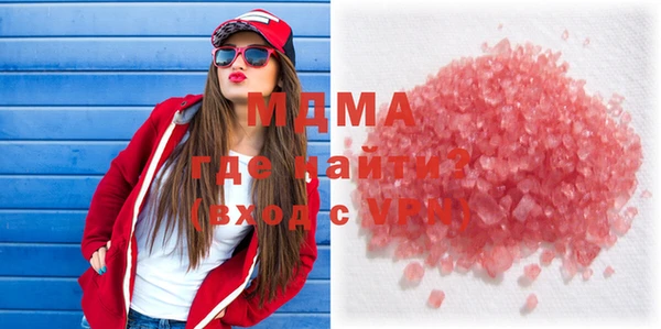 шишки Няндома