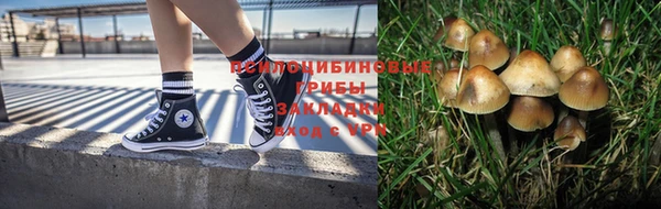 каннабис Нягань