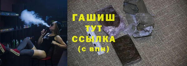 шишки Няндома